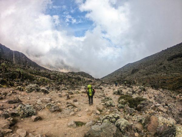Trekking Ascensión kilimanjaro